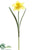 Silk Plants Direct Daffodil Spray - Yellow - Pack of 12