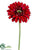 Gerbera Daisy Spray - Red - Pack of 12