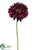 Gerbera Daisy Spray - Violet Dark - Pack of 12