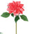 Dahlia Spray - Coral - Pack of 12