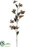 Silk Plants Direct Dogwood Spray - Chocolate - Pack of 6