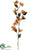 Dogwood Spray - Orange - Pack of 6