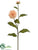 Dahlia Spray - Orange - Pack of 12