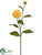 Dahlia Spray - Yellow - Pack of 12