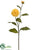 Dahlia Spray - Yellow - Pack of 12