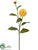 Dahlia Spray - Yellow - Pack of 12