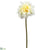 Dahlia Spray - Yellow Soft - Pack of 12