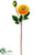 Dahlia Spray - Orange Yellow - Pack of 12