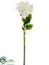 Silk Plants Direct Dahlia Spray - Cream Lime - Pack of 12