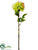 Dahlia Spray - Lime Pink - Pack of 12