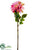 Dahlia Spray - Pink Lime - Pack of 12