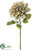 Dahlia Spray - - Pack of 6