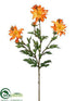 Silk Plants Direct Shasta Daisy Spray - Orange Two Tone - Pack of 12