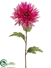 Spider Dahlia Spray - Lilac Two Tone - Pack of 12