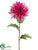 Spider Dahlia Spray - Lilac Two Tone - Pack of 12