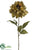 Dahlia Spray - Avocado Green - Pack of 12