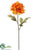 Dahlia Spray - Mustard Terra Cotta - Pack of 12