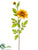 Dahlia Spray - Butter Scotch - Pack of 12