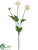 Dahlia Spray - Cream - Pack of 12