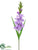 Gladiolus Spray - Lavender - Pack of 12
