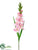 Gladiolus Spray - Pink - Pack of 12