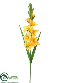 Gladiolus Spray - Yellow - Pack of 12