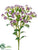 Silk Plants Direct Dianthus Spray - Rubrum Cream - Pack of 12