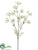 Dill Spray - White Green - Pack of 12