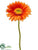 Gerbera Daisy Spray - Orange - Pack of 24