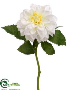 Dahlia Spray - Cream - Pack of 12