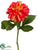 Dahlia Spray - Flame - Pack of 12