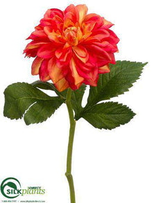 Dahlia Spray - Flame - Pack of 12