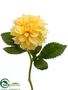 Dahlia Spray - Yellow - Pack of 12