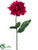 Dahlia Spray - Beauty Dark - Pack of 12