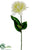 Dahlia Spray - Cream Green - Pack of 12