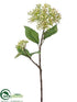 Silk Plants Direct Dogwood Seed Spray - Green Cream - Pack of 12