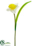 Silk Plants Direct Daffodil Spray - White Yellow - Pack of 12