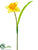 Daffodil Spray - Yellow - Pack of 12