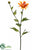 Shasta Daisy Spray - Orange - Pack of 12