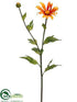 Silk Plants Direct Shasta Daisy Spray - Orange - Pack of 12