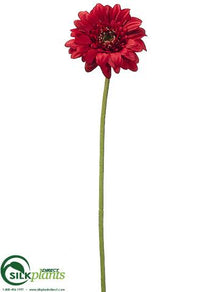 Gerbera Daisy Spray - Red - Pack of 12