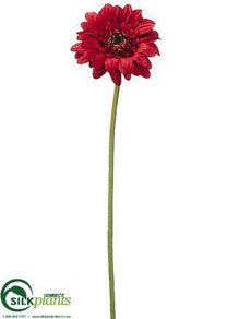 Gerbera Daisy Spray - Red - Pack of 12