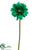 Gerbera Daisy Spray - Green Emerald - Pack of 12