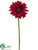 Gerbera Daisy Spray - Red - Pack of 12