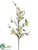 Dogwood Spray - White - Pack of 6