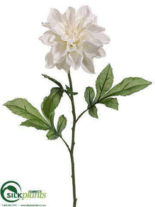 Dahlia Spray - Cream - Pack of 12