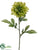 Dahlia Spray - Green - Pack of 12