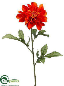 Dahlia Spray - Orange - Pack of 12