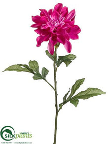 Dahlia Spray - Rubrum Two Tone - Pack of 12