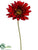 Gerbera Daisy Spray - Flame Two Tone - Pack of 12